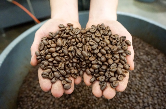 Fresh Roasted Coffee