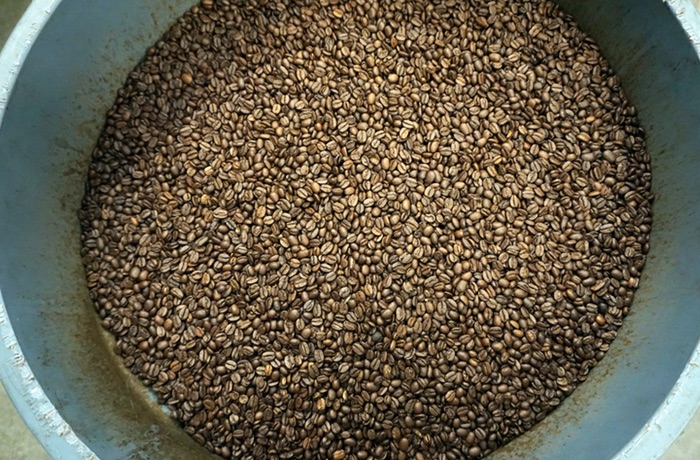 Coda Coffee Roasted Beans